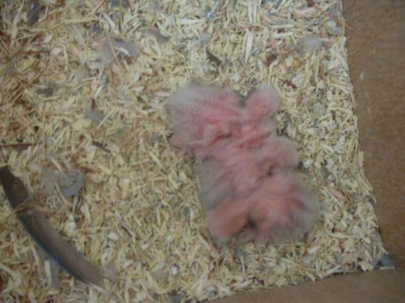 Resize of 2004-09-04_0002.JPG