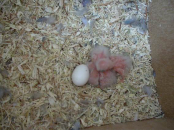 Resize of 2004-08-31_0003.JPG