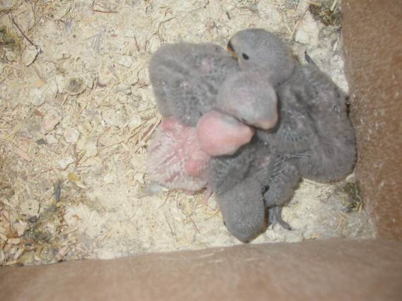 Resize of 2004-09-14_0004.JPG