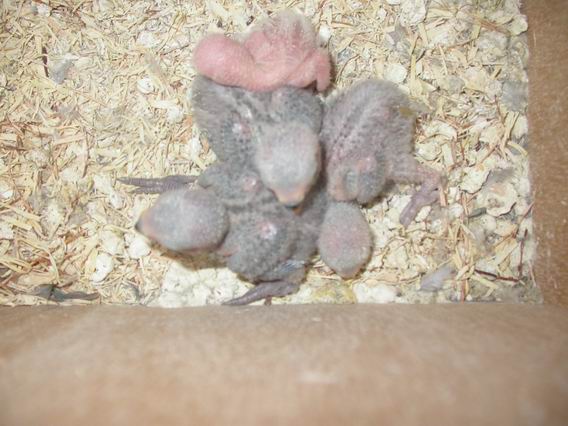 Resize of 2004-09-11_0003.JPG