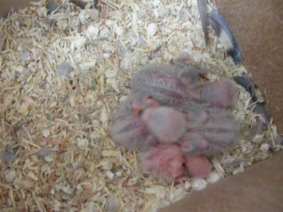 Resize of 2004-09-08_0002.JPG