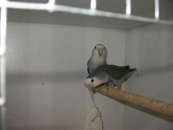 Resize of 2004-09-21_0017.JPG