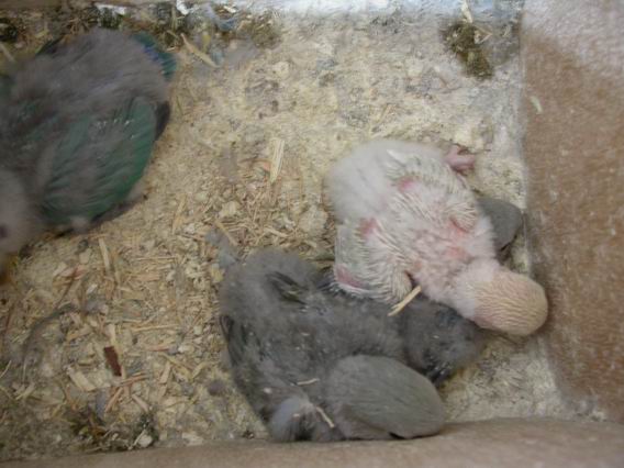 Resize of 2004-09-21_0023.JPG