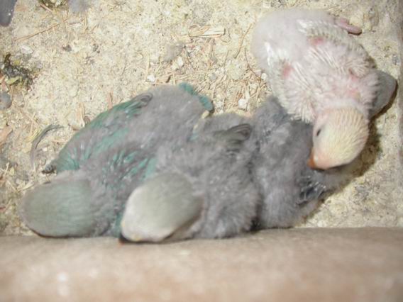 Resize of 2004-09-21_0020.JPG