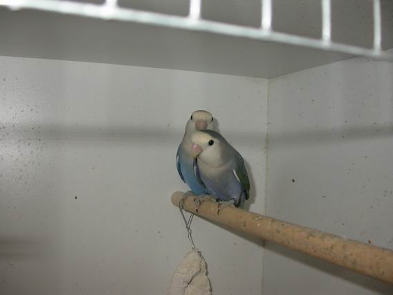 Resize of 2004-09-21_0018.JPG