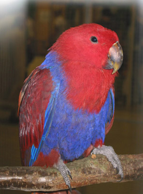 expo vincennes 029 - copie.JPG