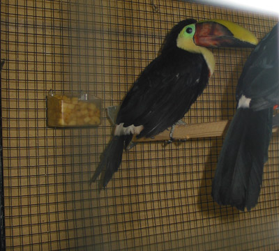 expo vincennes 018 - copie.JPG