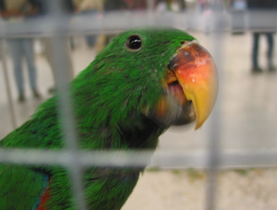 expo vincennes 059 - copie.JPG