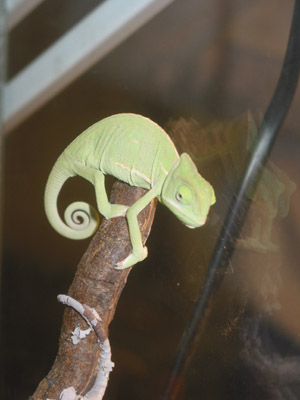 expo vincennes 043 - copie.JPG