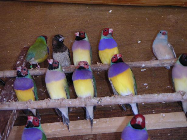 les goulds 15 juin 2004 0041.jpg