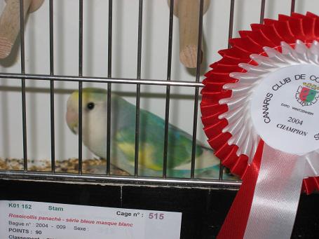 InsÃ©parable Champion.jpg