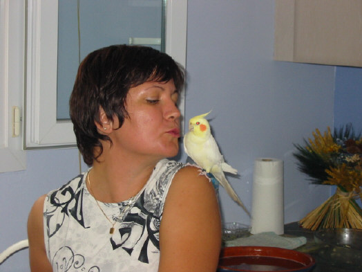 BEAUCOUP DE TENDRESSE.JPG