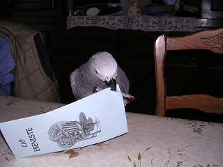 soirÃ©e chaudron magique 100.jpg