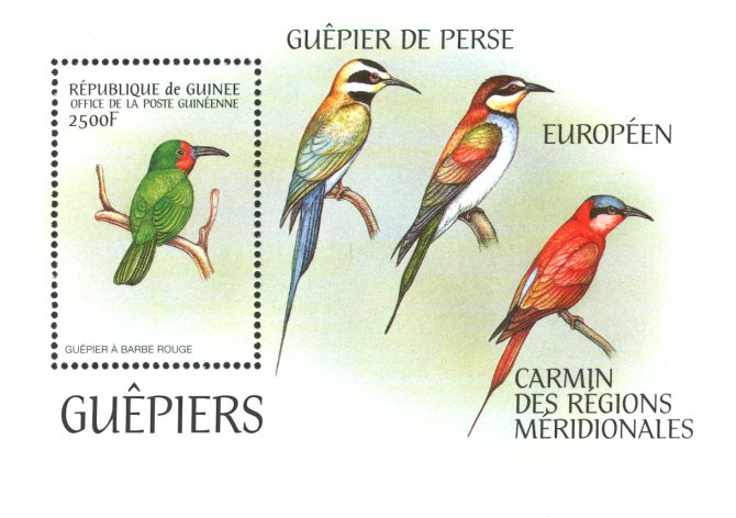 guinea221199d.jpg