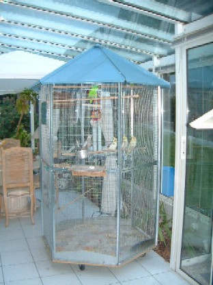 voliÃ¨re octobre 2004 026.jpg