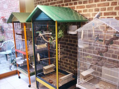 VoliÃ¨res vÃ©randa.jpg