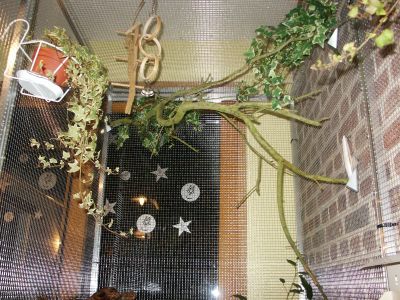 Interieur voliÃ¨re.JPG