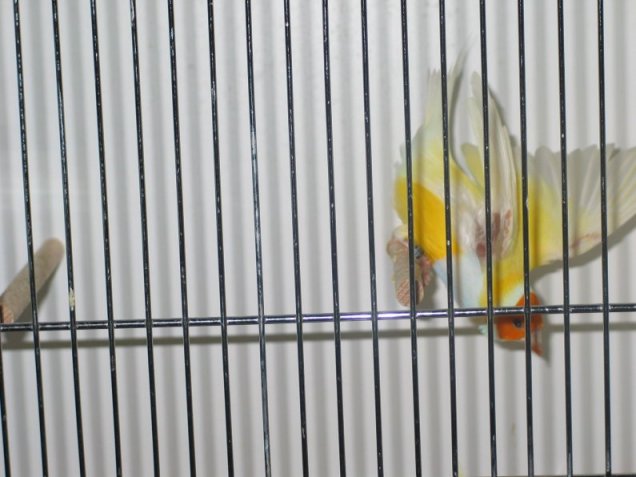 photos mondial 2003 143.jpg