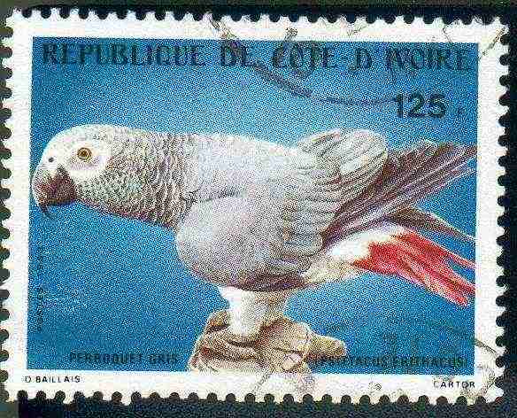 Timbre grisdu gabon.jpg