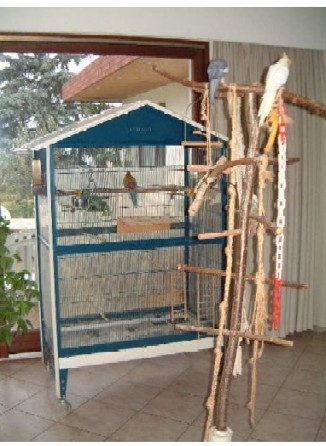 vivi, romain, capu, chloÃ©,E.T., zoÃ© 008.jpg