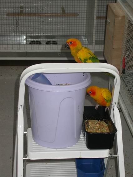 Resize of 2004-09-14_0003.JPG