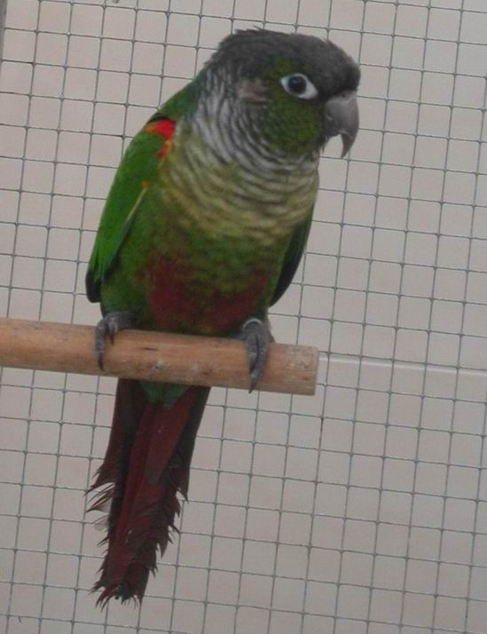 Resize of Resize of 2004-04-04_0032.JPG