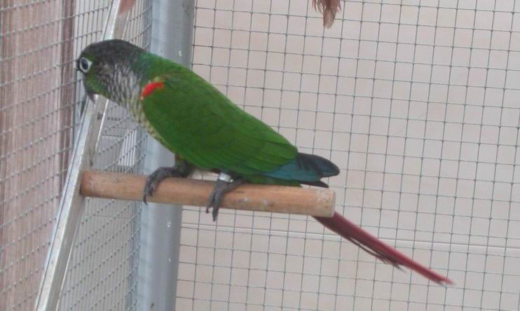 Resize of Resize of 2004-04-04_0012.JPG