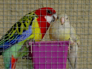 une peu d'intimitÃ©.jpg