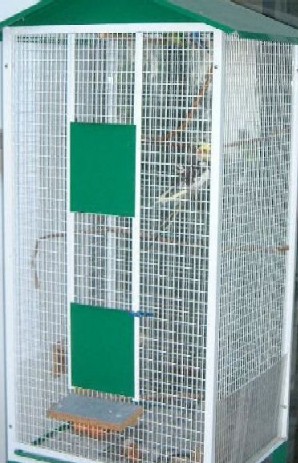 voliÃ¨re octobre 2004 031.jpg