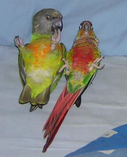 sur le dos avec thanos.JPG