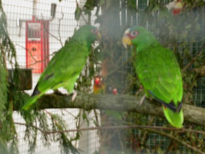 Salon Amazone front blanc.jpg