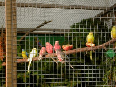 Salon Euphemes 02.jpg