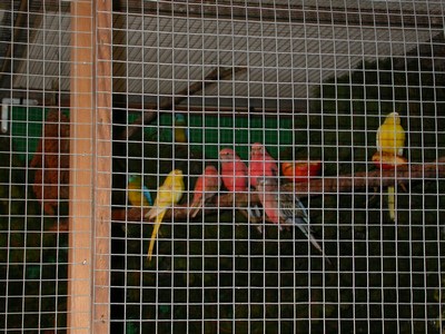 Salon Euphemes 01.jpg