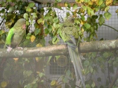 Salon Princesse 02.jpg