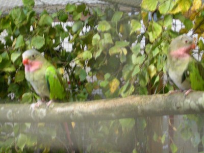 Salon Princesse 01.jpg