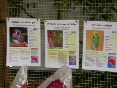 Salon ma voliere 02.jpg