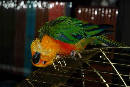 Resize of DSC_4558.JPG