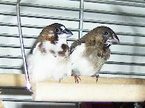 maman et bÃ©bÃ©.JPG