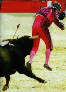 matador.jpg