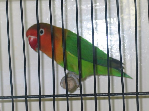 minettechÃ©rie 033.jpg