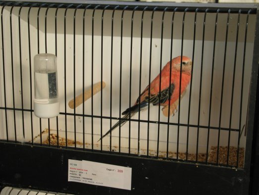 opraiosn expo 2004 079.jpg