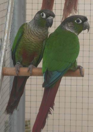 Resize of Resize of 2004-04-04_0043.JPG