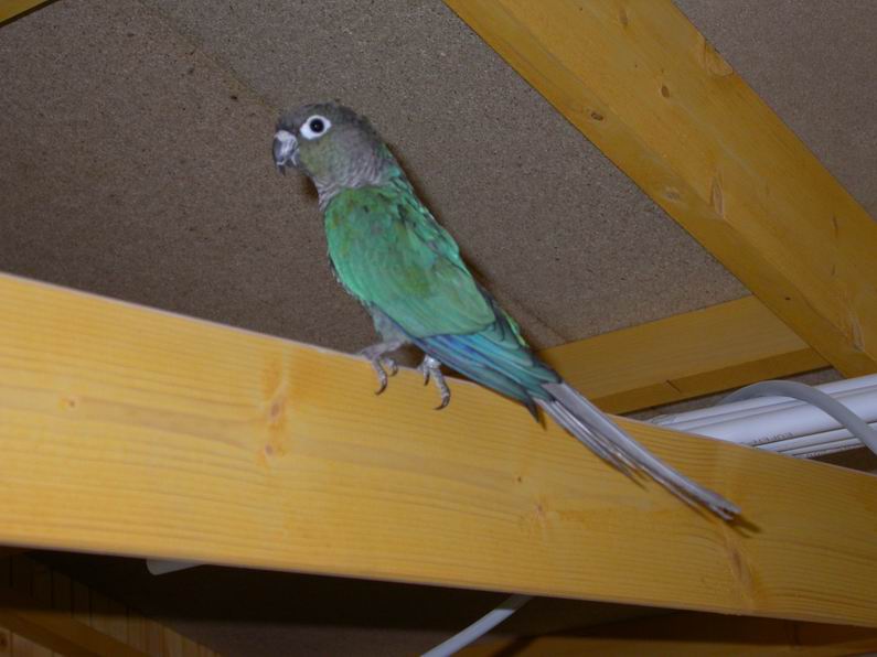 Resize of 2004-05-21_0059.JPG