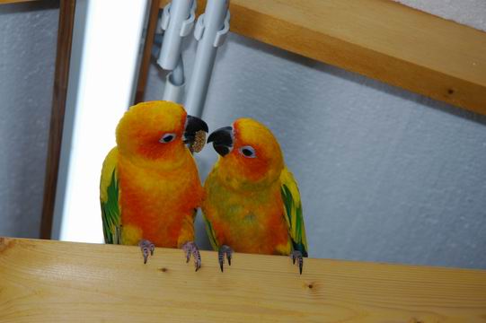 Resize of DSC_0021.JPG