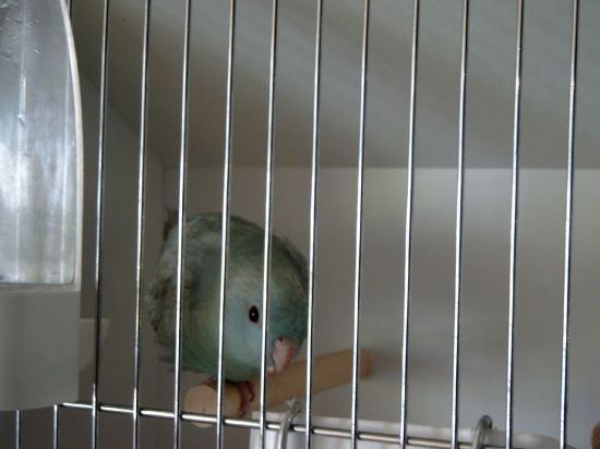 Expo Izegem  - Cath diluÃ©e.jpg