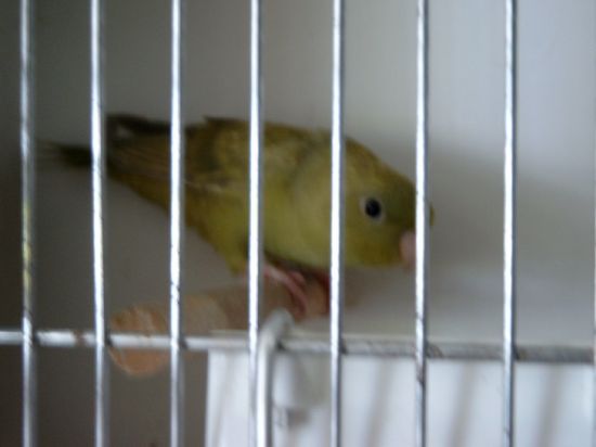 Expo Izegem - autre Cath Edged.jpg