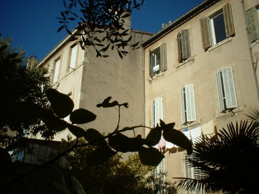 maison1.jpg