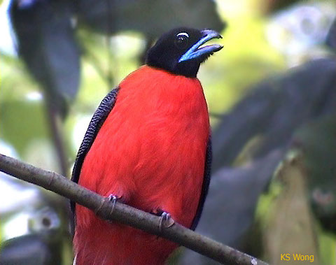 T'as un blÃ¨me !!!.jpg