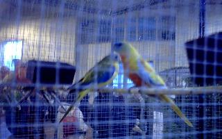 bourse de Carcassonne (1).jpg