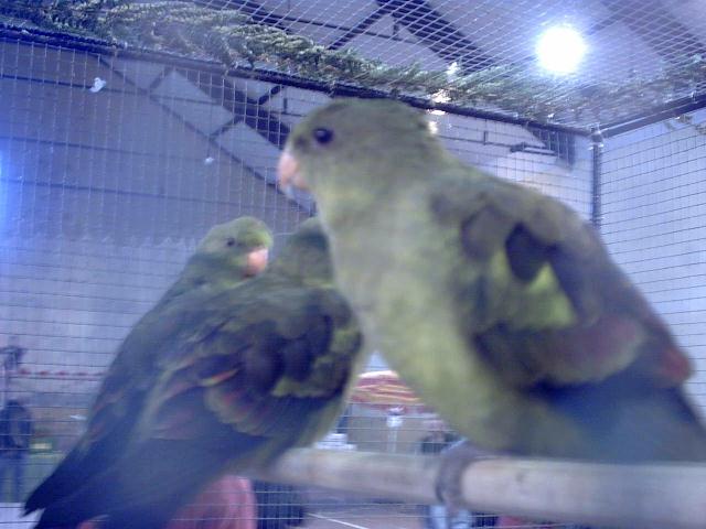 bourse de Carcassonne (3).jpg